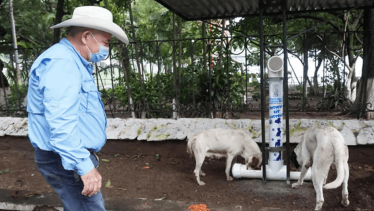 Instalaron comedores para perros sin hogar en Amatitlán en julio 2020