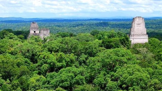 Proyecto busca renovar el puente de Brooklyn y proteger los bosques guatemaltecos