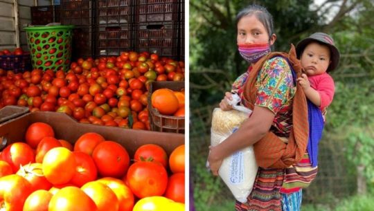 Desarrollo en Movimiento, banco de alimentos en Guatemala, brinda apoyo a familias