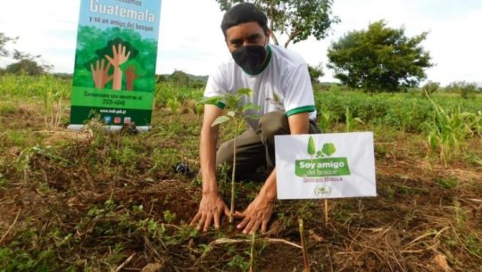 Jóvenes siembran árboles en donde antes era un basurero clandestino