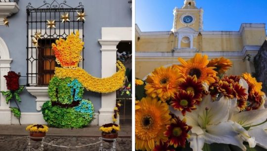 cuando-sera-festival-flores-2020-antigua-guatemala