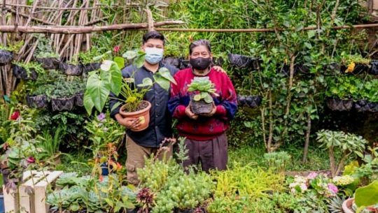 vivero-qumran-legado-hombre-trabajador-originario-san-juan-sacatepequez