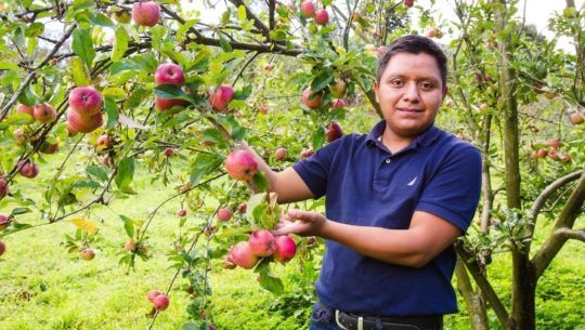 Mynor Algua, el guatemalteco que exporta sus productos a nivel internacional
