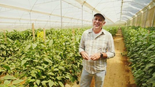 Ricardo Cojulún, el guatemalteco que después de perderlo todo creó su propia empresa