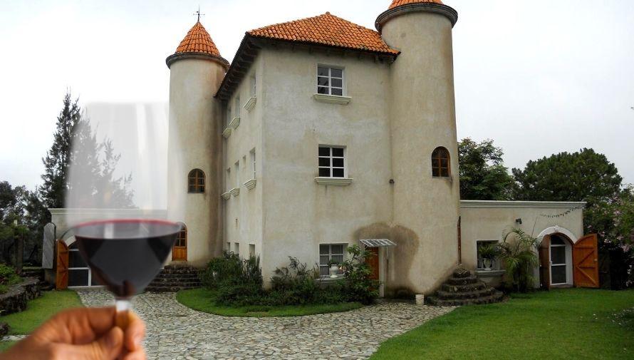 Viaje al viñedo Chateau Defay y tour del vino Noviembre 2020 (2)