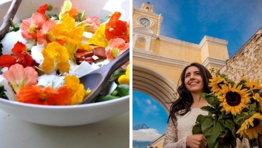 convocatoria-participar-concurso-cocinando-flores-festival-2020-antigua-guatemala