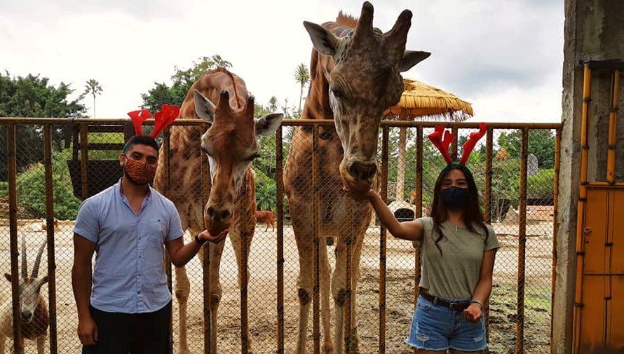 zoologico-la-aurora-ofrece-opciones-convivios-navidenos-ciudad-guatemala