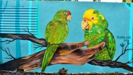 Artista guatemalteca pintó colorido mural inspirado en aves en la conservación de los loros