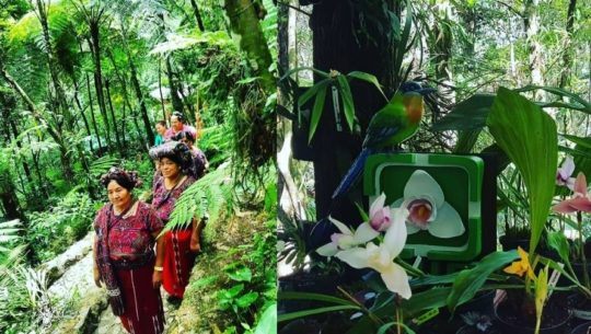 Escuela alemana de preprimaria realizó donación a Orquigonia de Guatemala