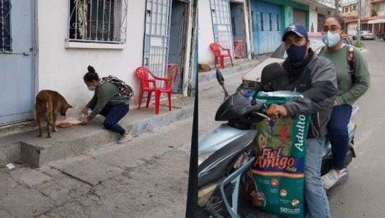 Jóvenes de Villa Hermosa repartieron alimento a perros sin hogar
