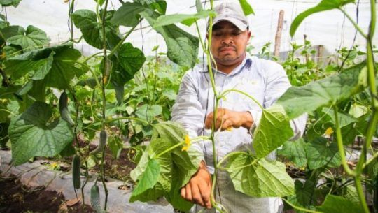 Juan José, el guatemalteco que al regresar a Guatemala creó un negocio a nivel internacional