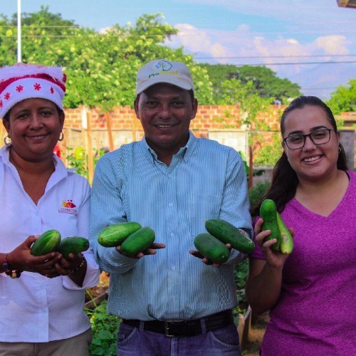 aiesec-ofrece-voluntariado-jovenes-guatemaltecos-2021-beneficios-disponibilidad-inversion