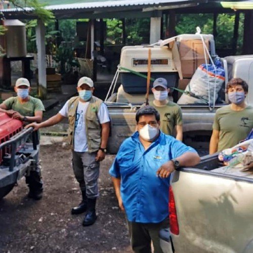arcas-destacado-telemundo-hospital-salva-animales-silvestres-centro-rescate-rehailitacion-peten-acreditacion