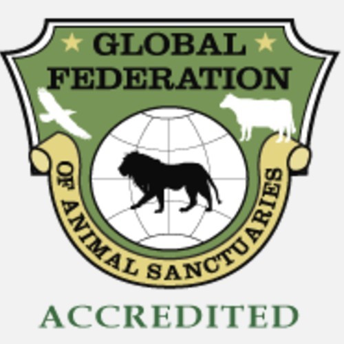arcas-destacado-telemundo-hospital-salva-animales-silvestres-global-federation-animals-sanctuaries