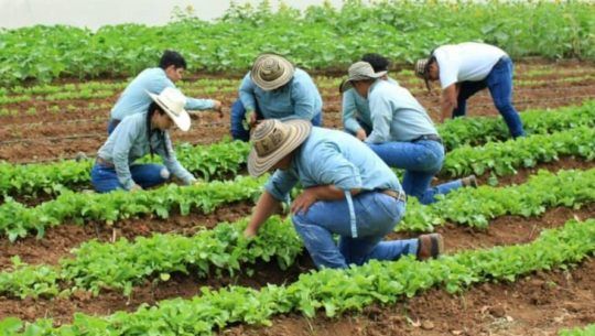 ddaso-proyecto-hecho-guatemaltecos-gano-concurso-internacional-actinspace-2020