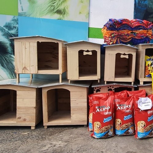guatemalteca-hizo-donativo-mascotas-albergue-mixco-casas-hogares