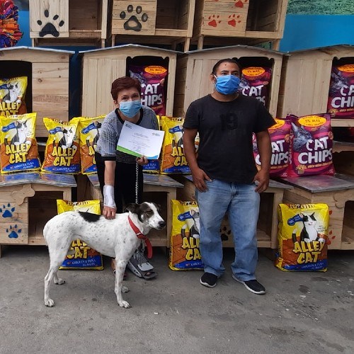 guatemalteca-hizo-donativo-mascotas-albergue-mixco-mensaje-ayuda-apoyo
