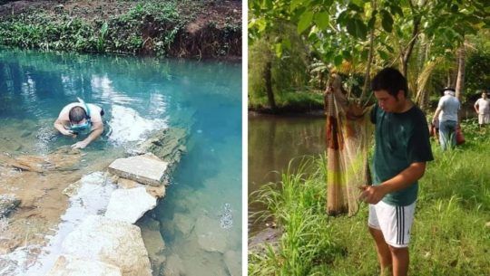 guatemalteco-obtuvo-segundo-lugar-concurso-mundial-biotopos-acuaticos-acuarismo