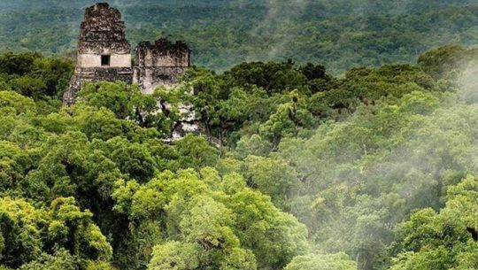 inab-prepara-hacer-segundo-inventario-forestal-nacional-guatemala-ifn