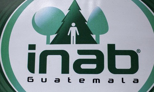 inab-prepara-hacer-segundo-inventario-forestal-nacional-guatemala-ifn-bienes-servicios-recursos-forestales