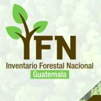 inab-prepara-hacer-segundo-inventario-forestal-nacional-guatemala-ifn-conap-fao