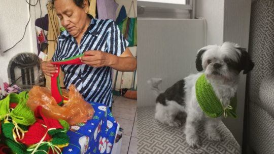Doña Any, la abuelita guatemalteca que emprendió negocio de bufandas para perros y gatos