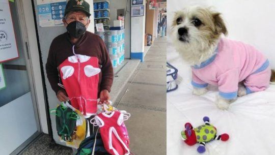 Francisco Zamora, el abuelito emprendedor que vende ropa para mascotas en los mercados