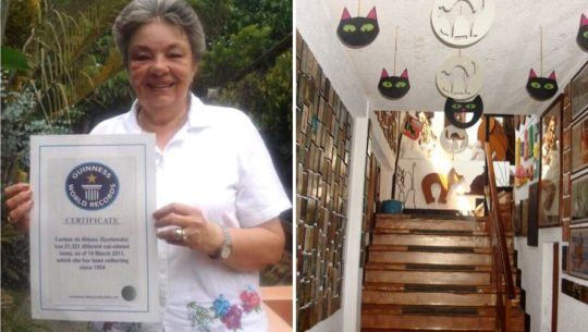 Récord Guiness Guatemala tiene la colección de artículos de gatos más grande del mundo (1)