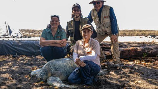 convocatoria-trabajo-zoologico-aurora-como-cuidador-animales