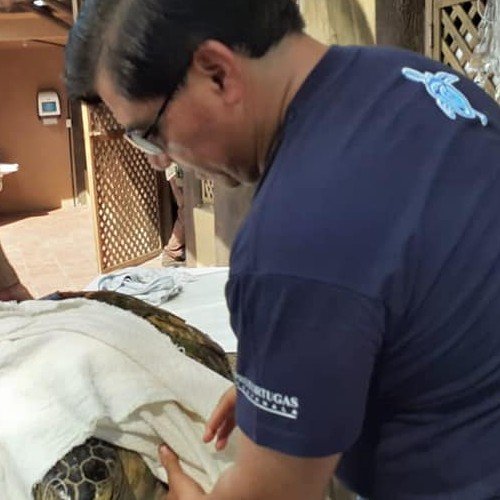 convocatoria-trabajo-zoologico-aurora-como-cuidador-animales-beneficios-responsabilidades-puestos