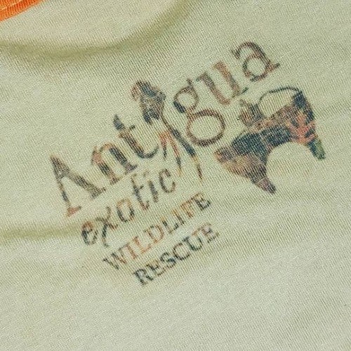 labor-danny-mazariegos-rescatista-animal-reconocida-arturo-islas-allende-antigua-exotic-wildlife-rescue