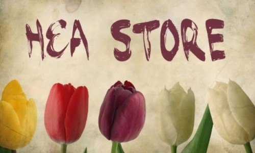 mujeres-emprendieron-negocio-becas-awe-guatemala-historias-exito-astrid-leon