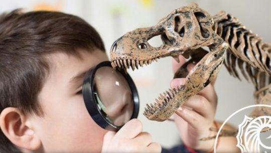 Actividades con fósiles y dinosaurios en Alta Verapaz Enero 2021