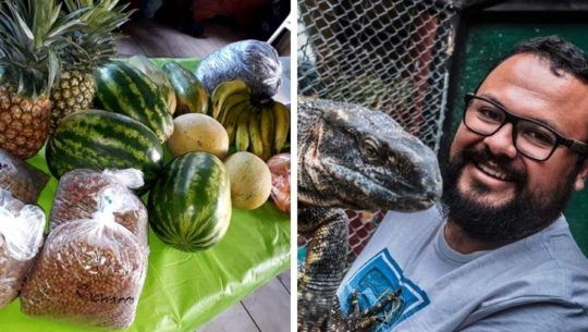 antigua-exotic-solicita-donaciones-ayudar-animales-resguardados-recinto