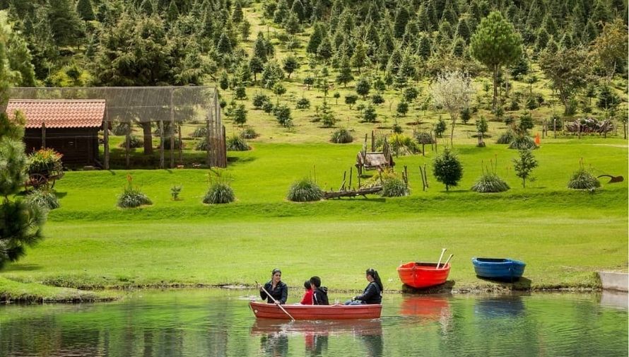 Día de campo romántico en una finca de pinabetes en Tecpán Febrero 2021 (3)