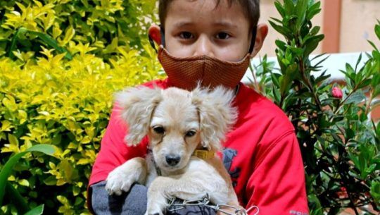 Jornadas de esterilización de mascotas a bajo costo, Santa Catarina Pinula Febrero 2021 (1)