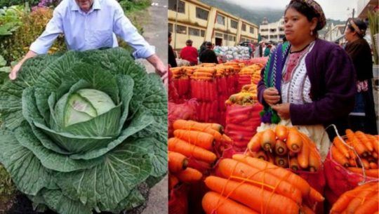 Verduras de Xela