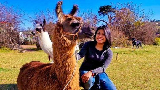 Festival de llamas en Huehuetenango Marzo 2021 (1)