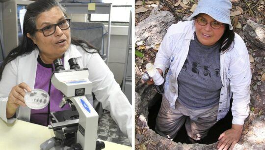 Carlota Monroy, científica guatemalteca destacada por su lucha contra el mal de Chagas, por la BBC