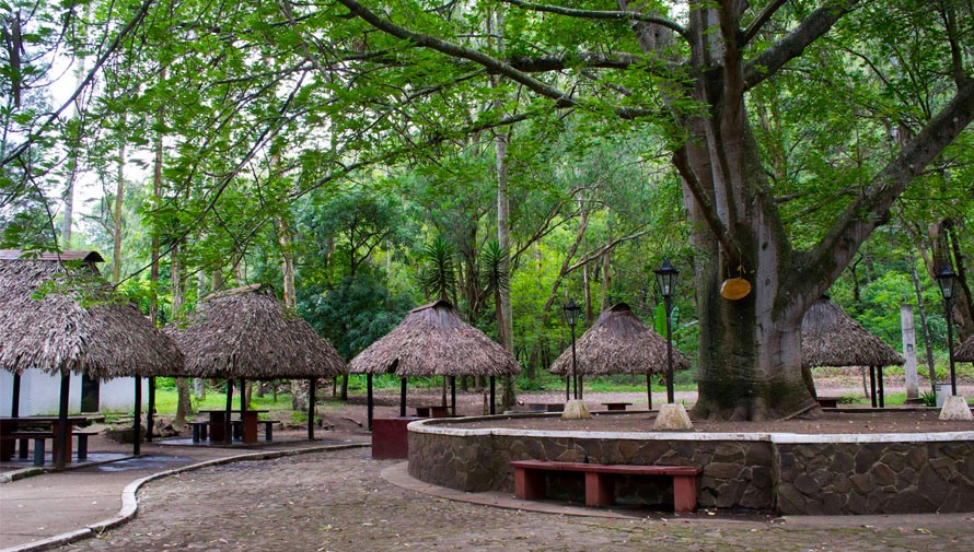 El Parque Naciones Unidas Guatemala, un destino natural cerca de la Ciudad de Guatemala
