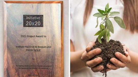Guatemala fue reconocida con el premio Iniciativa 20x20 por sus incentivos forestales Probosque