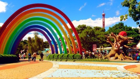 IRTRA anunció que ahora los trámites para obtener carné son en línea, mayo 2021