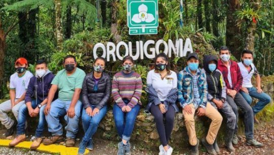 Orquigonia, el proyecto guatemalteco que busca salvar a la Monja Blanca, flor nacional