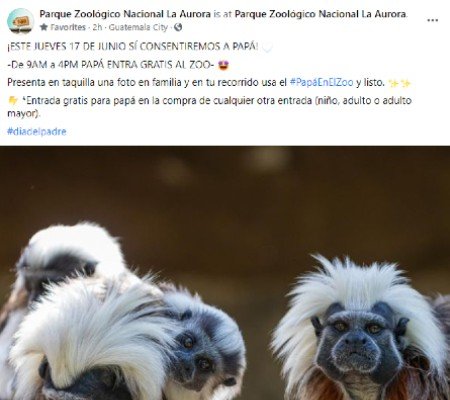 Papás guatemaltecos podrán entrar gratis al Zoológico La Aurora