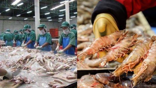 plazas de trabajo Alaska para guatemaltecos 2021