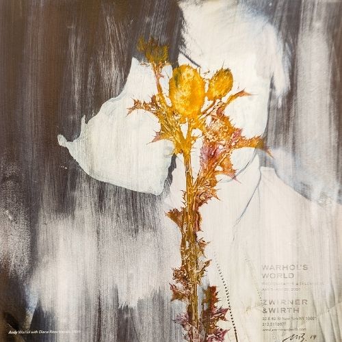 Biofilia de Moises Bariios
