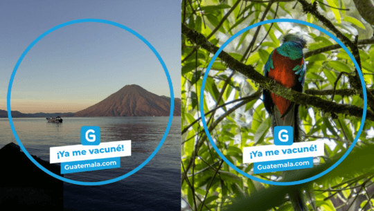 Marco Ya me vacuné Guatemala.com