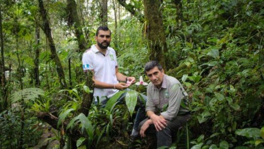 Familia Archila, la generación que ha dedicado su vida a la conservación de las orquídeas en Guatemala