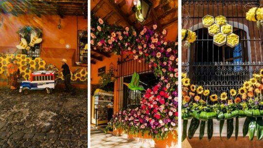 Ganadores del concurso de fachadas del Festival de las Flores de Antigua Guatemala 2021