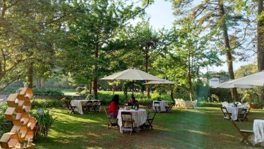 Amus Green Food Café, un restaurante para disfrutar de un espacio natural en San Lucas